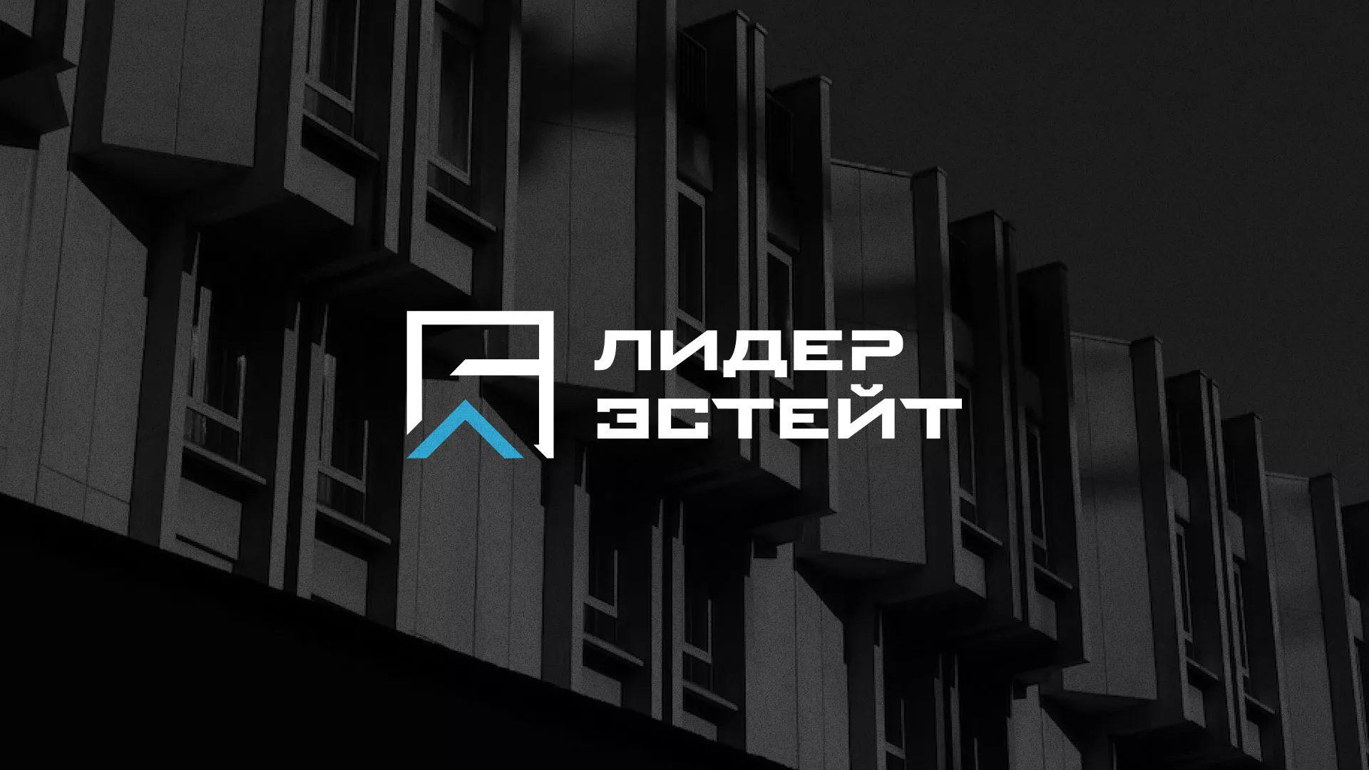 Разработка логотипа агентства недвижимости «Лидер Эстейт» в Тюкалинске